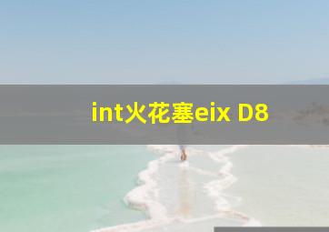 int火花塞eix D8